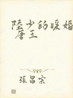 陆少的暖婚新妻 唐玉