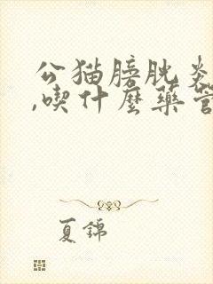 公猫膀胱炎尿血,吃什么药管用