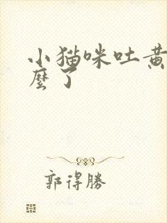 小猫咪吐黄水怎么了