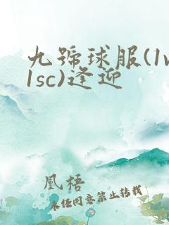 九号球服(1v1sc)逢迎