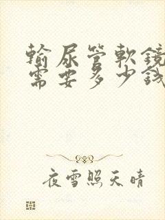 输尿管软镜碎石需要多少钱