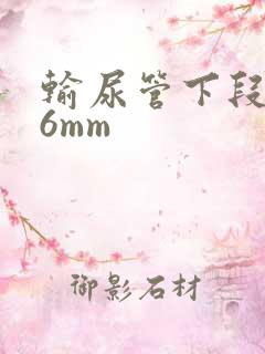 输尿管下段结石6mm
