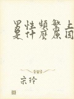 男性频繁上小便是什么原因