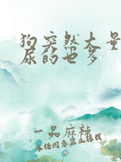 狗突然大量喝水尿的也多