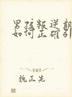 男孩叛逆期厌学如何正确引导