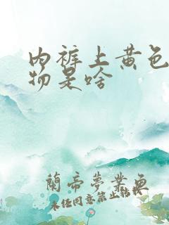 内裤上黄色分泌物是啥