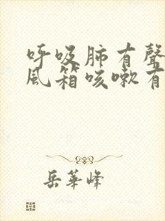 呼吸肺有声音拉风箱咳嗽有痰