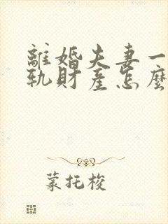 离婚夫妻一方出轨财产怎么分配