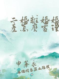 二婚离婚婚前财产怎么处理