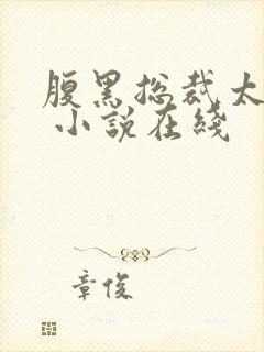 腹黑总裁太霸道 小说在线