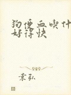 狗便血吃什么药好得快