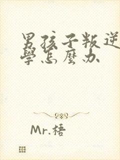 男孩子叛逆期厌学怎么办