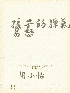 孩子的脾气暴躁易怒