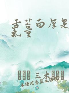 舌苔白厚是有湿气重