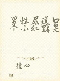 男性尿道口有一个小红点是怎么回事