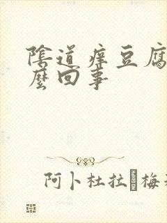 阴道痒豆腐渣怎么回事