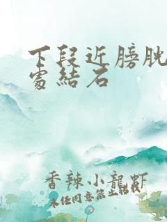 下段近膀胱开口处结石