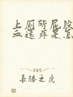 上厕所屁股擦出血还疼是怎么了