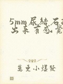 5mm尿结石排出来有感觉吗