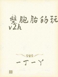 双胞胎的玩具1v2h