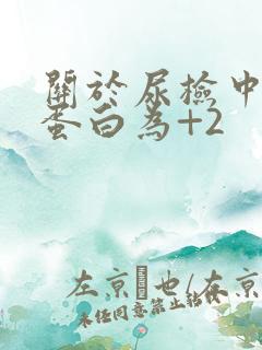 关于尿检中的尿蛋白为+2