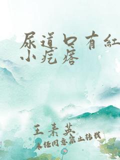 尿道口有红色的小疙瘩