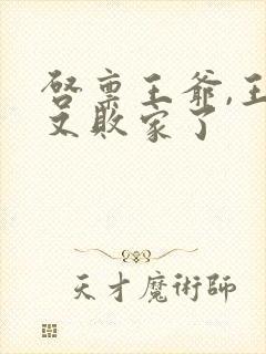 启禀王爷,王妃又败家了