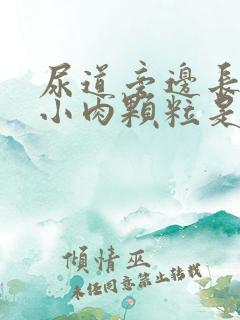 尿道旁边长了个小肉颗粒是什么原因