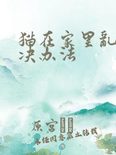 猫在家里乱尿解决办法