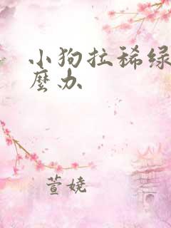 小狗拉稀绿色怎么办