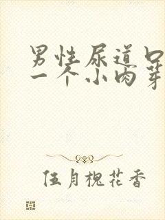 男性尿道口长了一个小肉芽