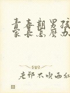 青春期男孩叛逆家长怎么办