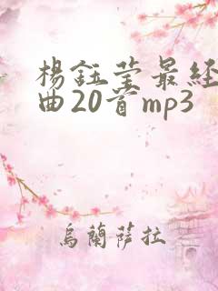 杨钰莹最经典歌曲20首mp3
