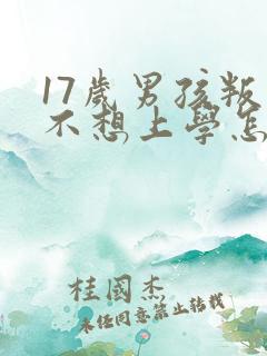 17岁男孩叛逆不想上学怎么办