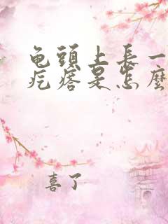 龟头上长一排小疙瘩是怎么回事