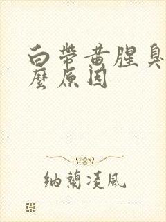 白带黄腥臭是什么原因