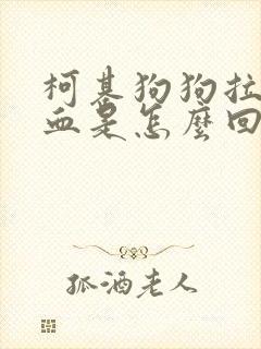 柯基狗狗拉稀拉血是怎么回事