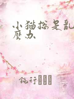 小猫总是乱尿怎么办