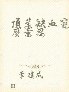 顶叶缺血灶是什么意思