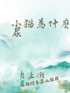 小猫为什么会乱尿