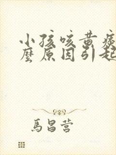 小孩咳黄痰是什么原因引起的