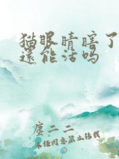 猫眼睛瞎了流脓还能活吗