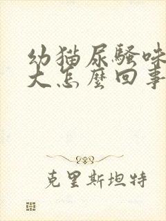 幼猫尿骚味特别大怎么回事