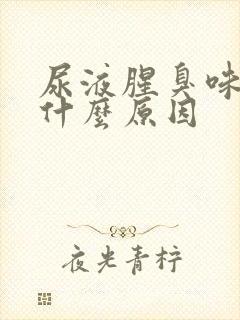 尿液腥臭味重是什么原因