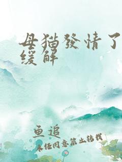 母猫发情了怎么缓解