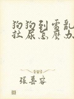 狗狗到处乱拉屎拉尿怎么办