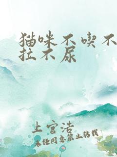 猫咪不吃不喝不拉不尿