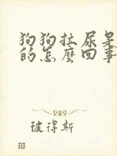 狗狗拉尿是红色的怎么回事