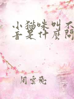 小猫咪叫不出声音是什么问题