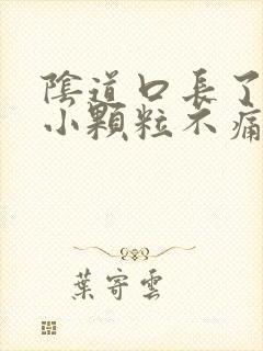 阴道口长了很多小颗粒不痛不痒